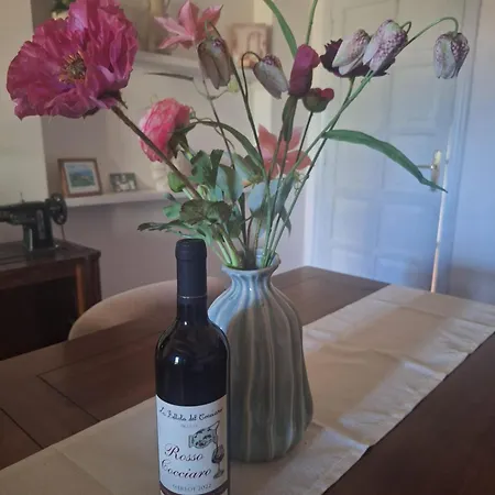 Casa Di Lili